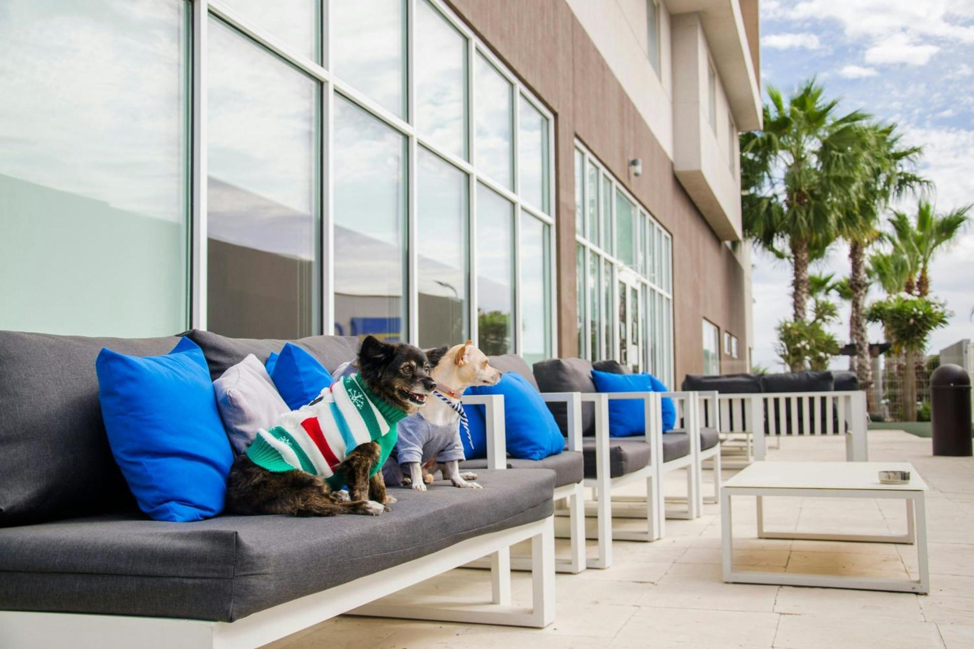 Courtyard By Marriott Hermosillo Exterior foto